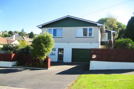 Photo of property in 49 Chapman Street, Wakari, Dunedin, 9010