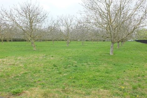 Photo of property in 146 Cullen Avenue, Swannanoa, 7475