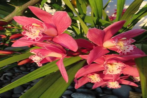 Photo of property in 15 Aurora Avenue, Welcome Bay, Tauranga, 3112