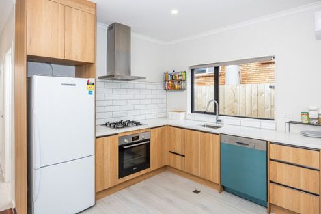 Photo of property in 30a Thomson Avenue, Dinsdale, Hamilton, 3204