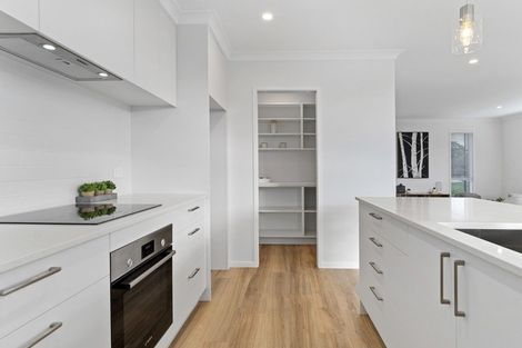 Photo of property in 1 Pinkerton Place, Ohauiti, Tauranga, 3112