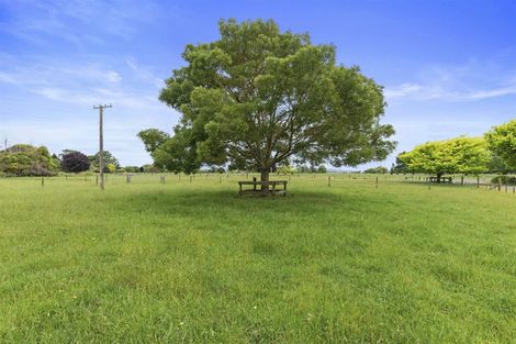 Photo of property in 238a No 9 Road, Springdale, Waitoa, 3380