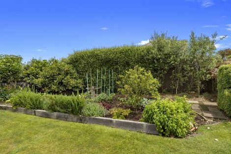 Photo of property in 20 Stirling Drive, Morrinsville, 3300