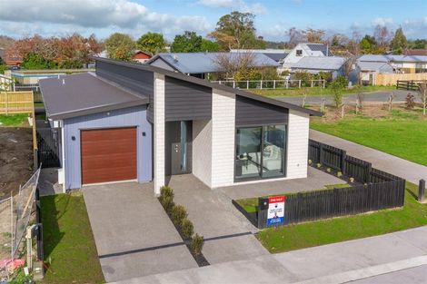 Photo of property in 11 Earp Crescent, Chartwell, Hamilton, 3210