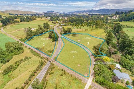 Photo of property in State Highway 2, Eketahuna, 4900