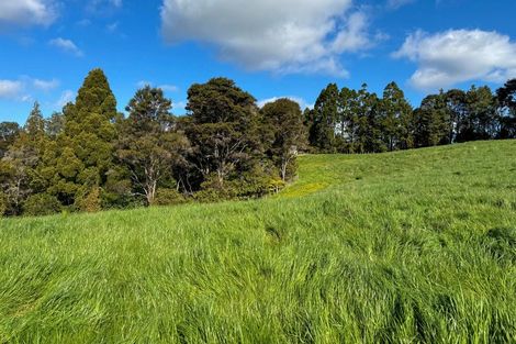 Photo of property in 208 Sunnyside Road, Coatesville, Albany, 0793