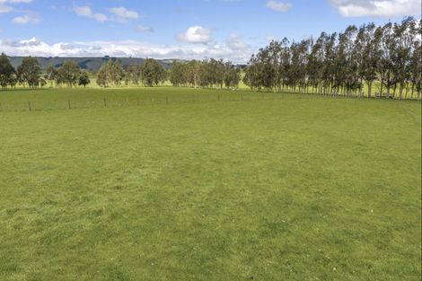Photo of property in 1020 Te Aute Trust Road, Poukawa, Hastings, 4178