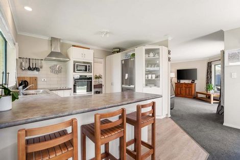 Photo of property in 20 Francevic Avenue, Mount Maunganui, 3116