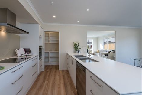 Photo of property in 65 Berryfield Drive, Richmond, 7020