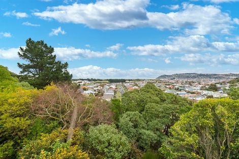 Photo of property in 29 Kamura Street, Tainui, Dunedin, 9013