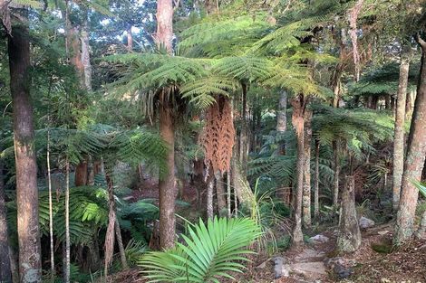 Photo of property in 1665 Matapouri Road, Matapouri, Whangarei, 0173