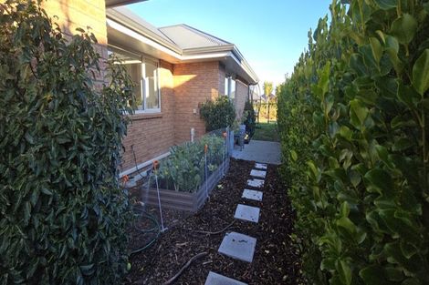 Photo of property in 7 Greenlaw Street, Lincoln, 7608