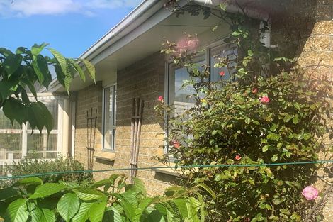 Photo of property in 22 John Street, Winton, 9720