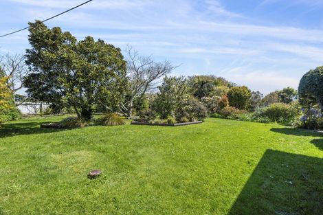 Photo of property in 17 Kimberley Road, Levin, 5571