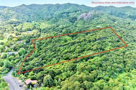 Photo of property in 600 Buffalo Road, Coromandel, 3506