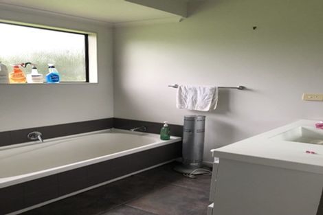 Photo of property in 420 Tararua Road, Levin, 5571