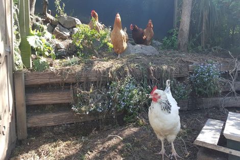 Photo of property in 28 Motu Street, Saint Clair, Dunedin, 9012