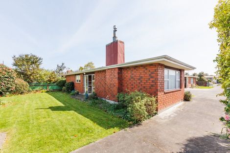 Photo of property in 17 Blenheim Place, Feilding, 4702