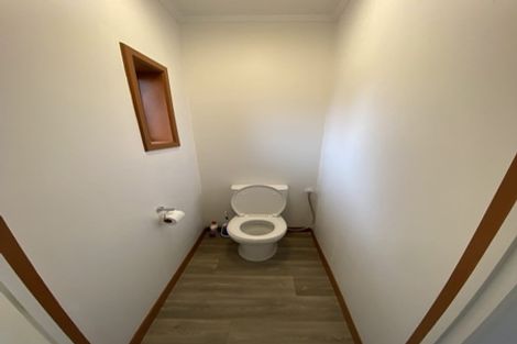 Photo of property in 19 Storey Avenue, Forest Lake, Hamilton, 3200