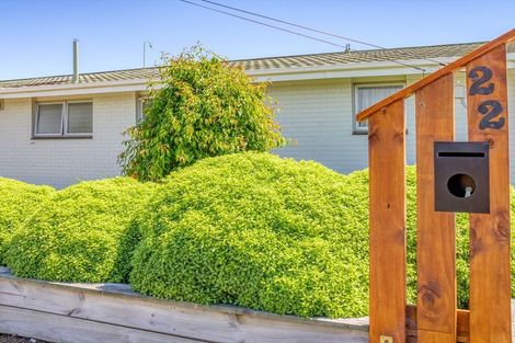 Photo of property in 22 Colville Street, Masterton, 5810
