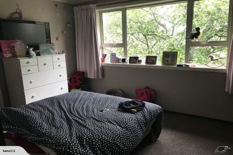 Photo of property in 10 Chelmsford Street, Windsor, Invercargill, 9810