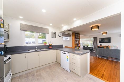 Photo of property in 118 Pahiatua Street, Hokowhitu, Palmerston North, 4410