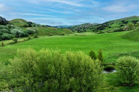 Photo of property in 3890 Matawai Road, Otoko, Te Karaka, 4092