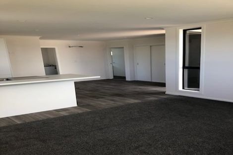 Photo of property in 65a Twentysecond Avenue, Gate Pa, Tauranga, 3112