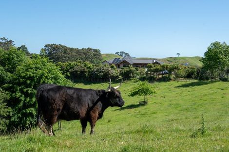 Photo of property in 318 Stoney Creek Road, Kaukapakapa, 0873