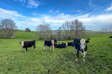 Photo of property in 1170 Kopuku Road, Kopuku, Pokeno, 2471