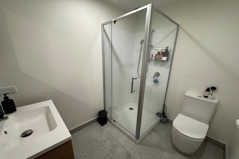 Photo of property in 56 Tahuhu Road, Mount Wellington, Auckland, 1062