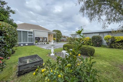 Photo of property in 58 Neal Street, Putaruru, 3411