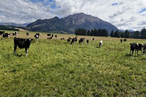 Photo of property in 481 Camp Hill Road, Hawea Flat, Wanaka, 9382