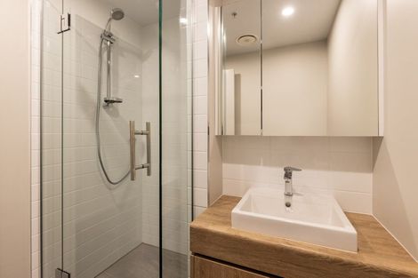 Photo of property in Pinnacle Apartments, W802/160 Victoria Street, Te Aro, Wellington, 6011