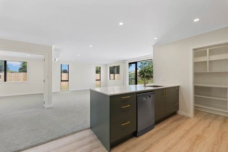 Photo of property in 135 Reservoir Street, Putaruru, 3411