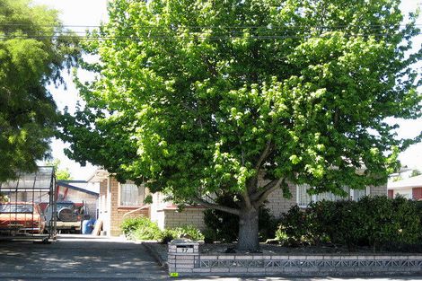 Photo of property in 97 Kendal Avenue, Burnside, Christchurch, 8053