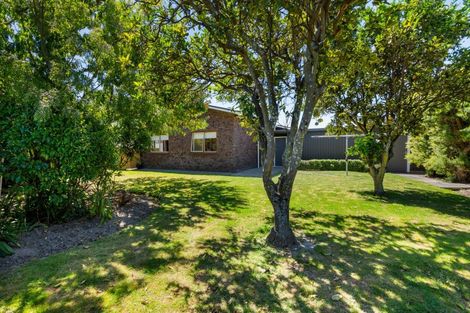 Photo of property in 55 Guppy Road, Greenmeadows, Napier, 4112