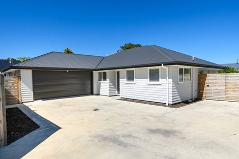 Photo of property in 1410 Napier Road, Ashhurst, 4810