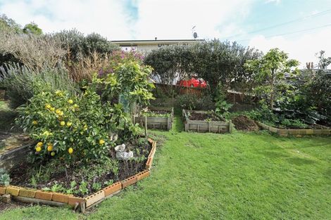 Photo of property in 29 Russell Road, Huntly, 3700