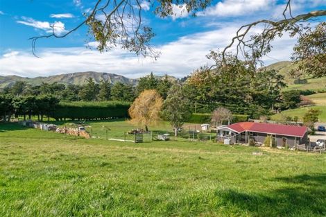 Photo of property in 7354 State Highway 1, Ward, Seddon, 7285