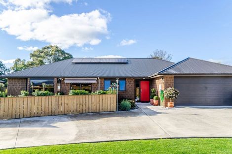 Photo of property in 39 Sussex Street, Masterton, 5810