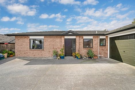 Photo of property in 5b Chelmsley Avenue, Henderson, Auckland, 0612