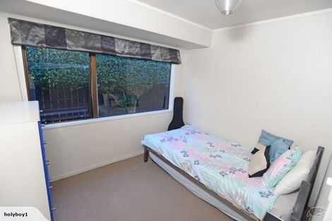 Photo of property in 19 Waitui Grove, Mount Maunganui, 3116