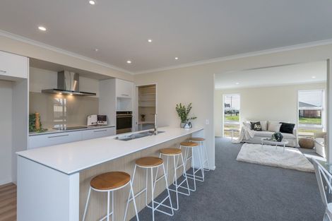 Photo of property in 65 Berryfield Drive, Richmond, 7020