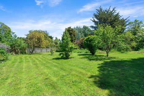 Photo of property in 29 Oxford Street, Lansdowne, Masterton, 5810
