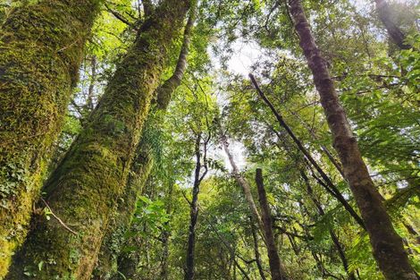 Photo of property in 692 Rutherglen Road, Marsden, Greymouth, 7872