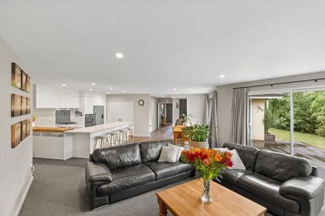 Photo of property in 219 Brookside Road, Rolleston, 7614