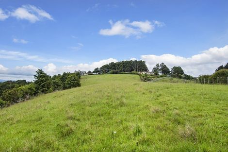 Photo of property in 320 Vinegar Hill Road, Kauri, 0185