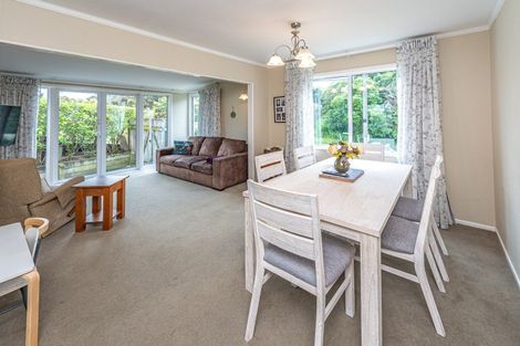 Photo of property in 43 Parkes Avenue, Saint Johns Hill, Whanganui, 4501