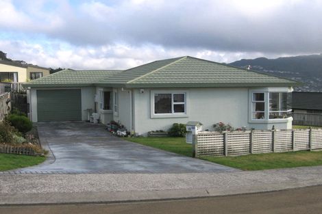 Photo of property in 27 Pelorous Street, Paparangi, Wellington, 6037